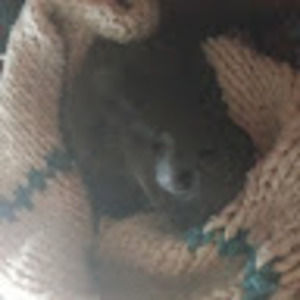 Meet your Posher, Edgar